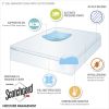 Sleep Philosophy 3" Memory Foam Mattress Topper