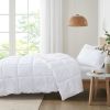 Clean Spaces Allergen Barrier Antimicrobial Down Alternative Comforter