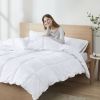 Clean Spaces Allergen Barrier Antimicrobial Down Alternative Comforter