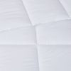 Clean Spaces Allergen Barrier Antimicrobial Down Alternative Comforter