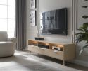 LED TV Stand LED Entertainment Center