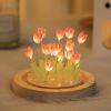 Tulips Gift for Women with LED Light in Glass Dome