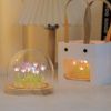 Tulips Gift for Women with LED Light in Glass Dome