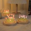 Tulips Gift for Women with LED Light in Glass Dome